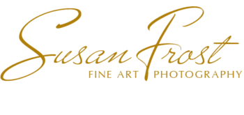 Susan Frost Photography Logo
