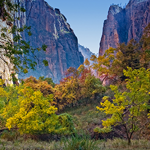 Zion National Park, Utah